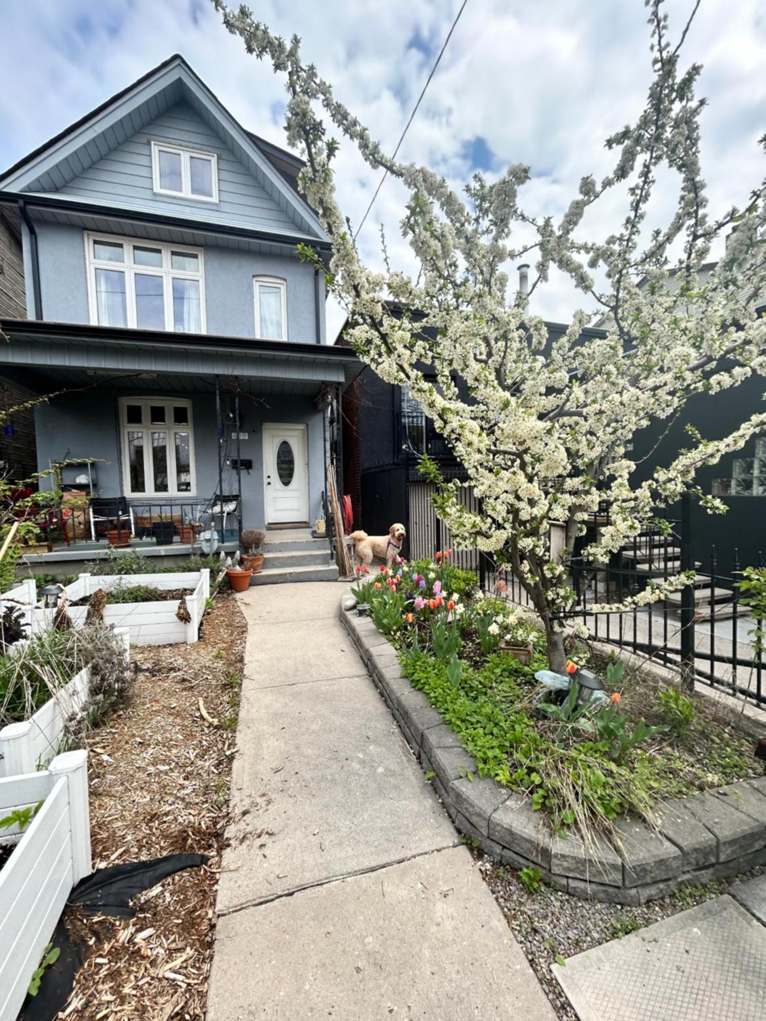 Garden Oasis Villa Toronto Kültér fotó